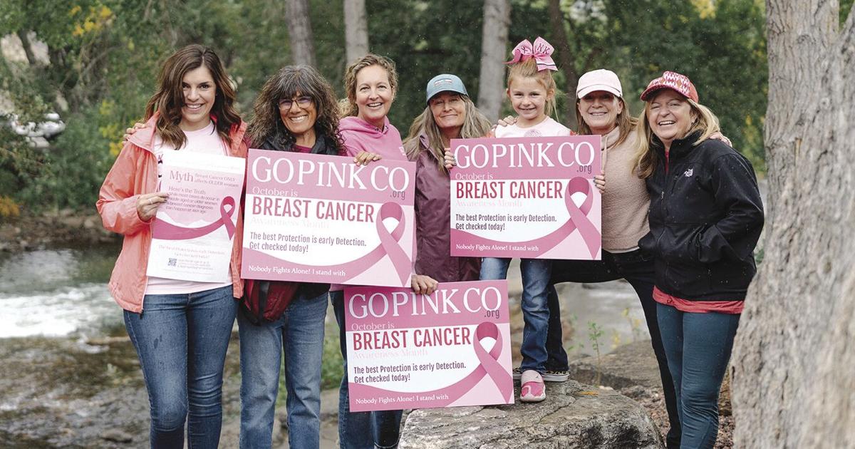 Pink Out Group GoPinkCo launches “pink-out” campaign | Health & Wellness ...