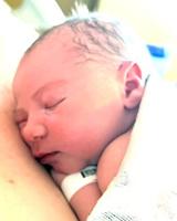 Carter Michael Hazelet