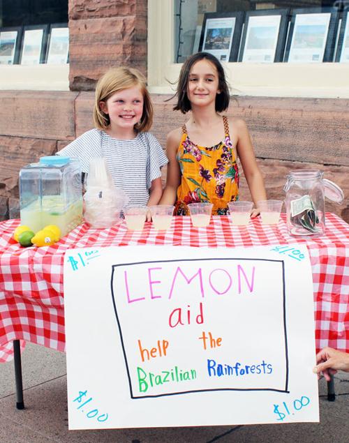 Lemonade for Brazilian rainforests