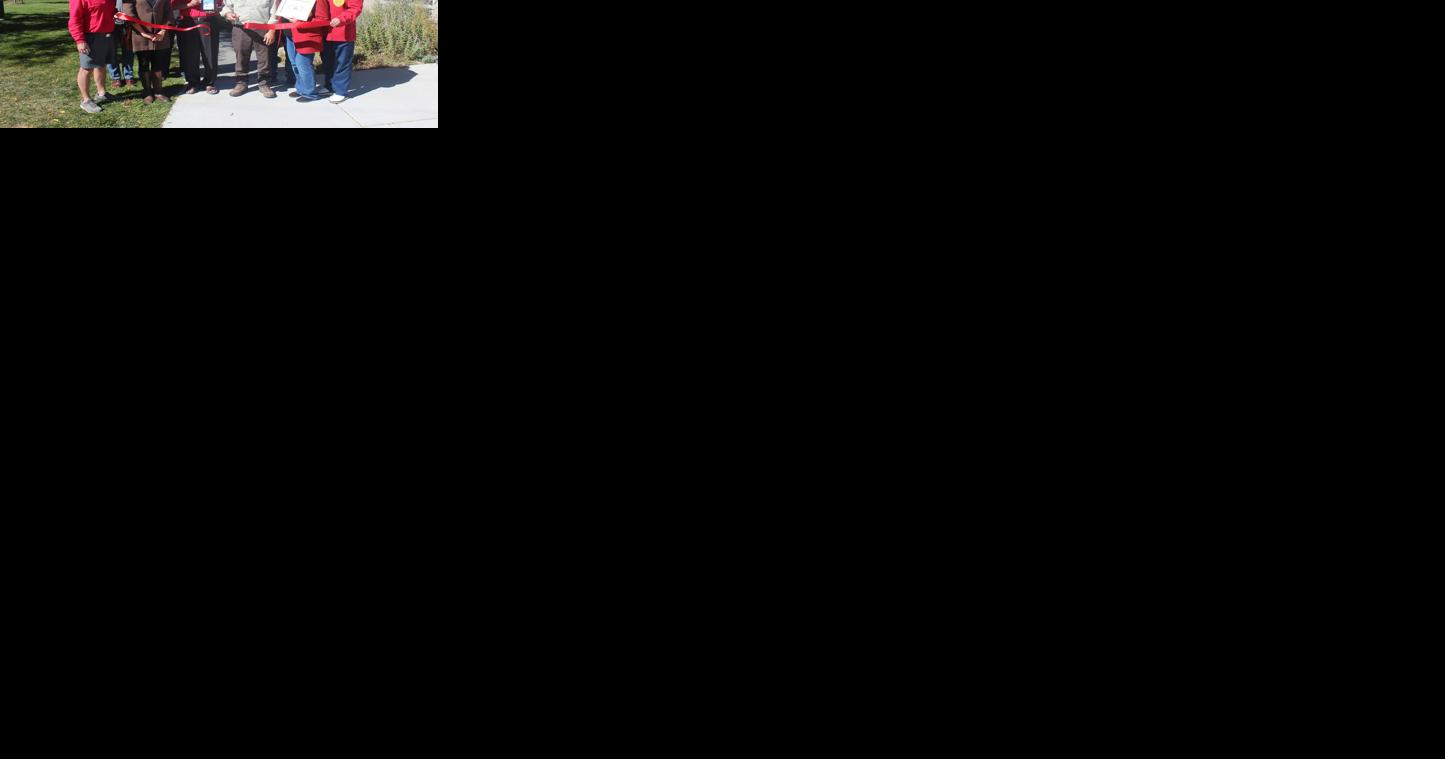 Chamber Corner: Wise Tree Service - Vimarsana News