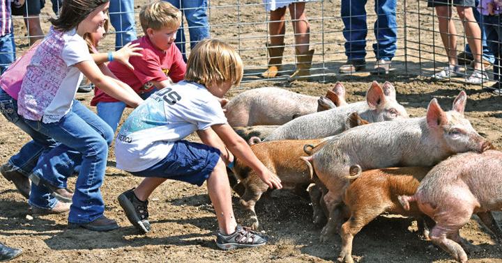 Catch program helps kids find animals | Local News | themountainmail.com