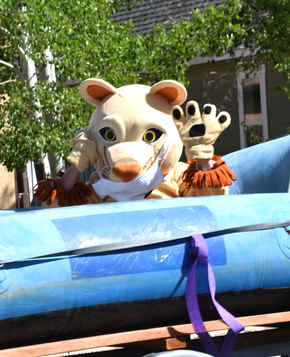 The Longfellow Mountain Lion
