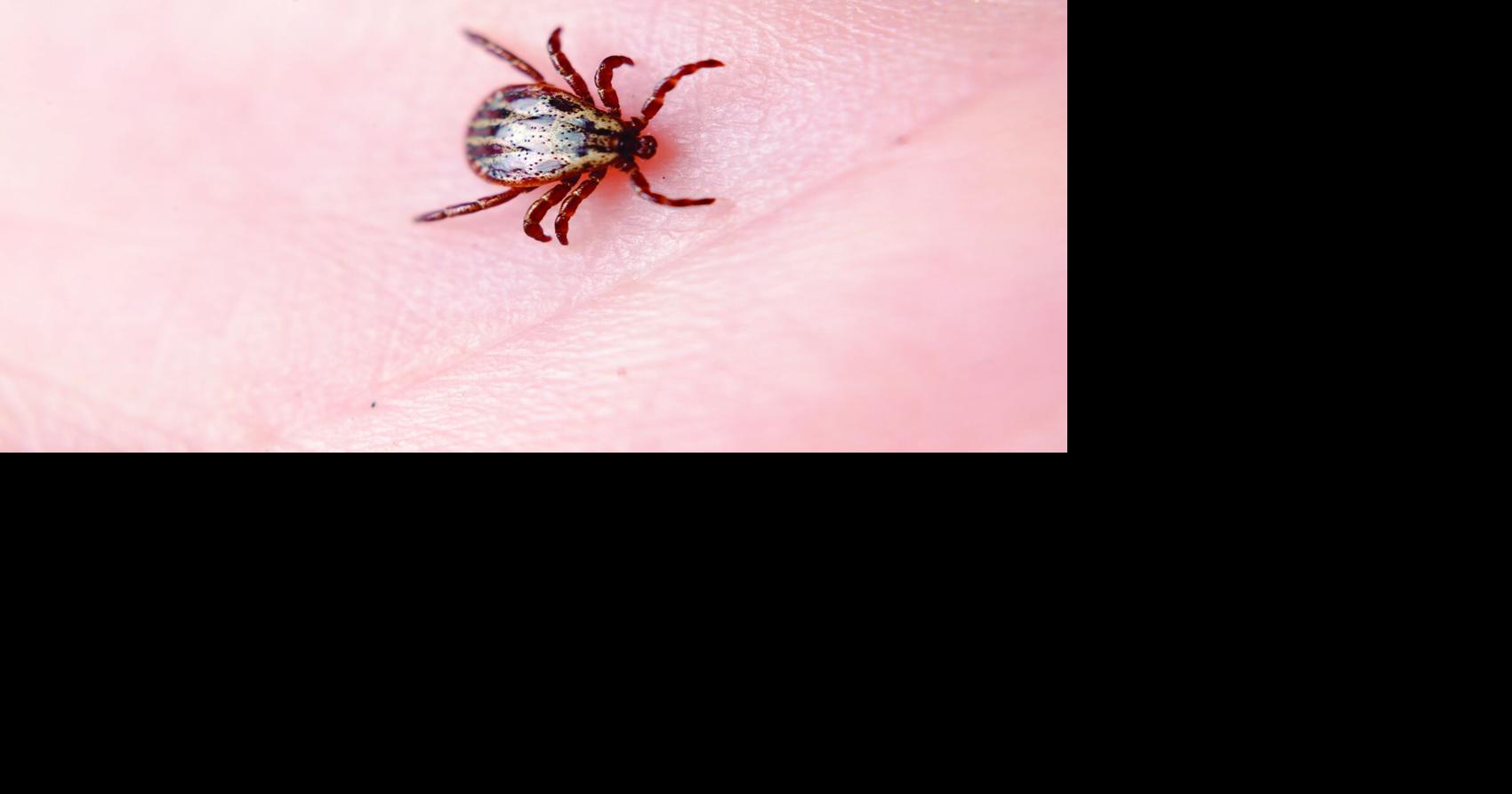 Health Beat: A turning point for tick-borne disease patients?: Patient voices and the Lyme roundtable