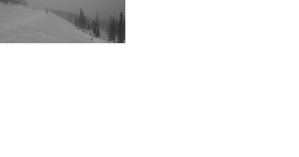 Monarch Pass 'at the mercy of Mother Nature' | Local News - Vimarsana News