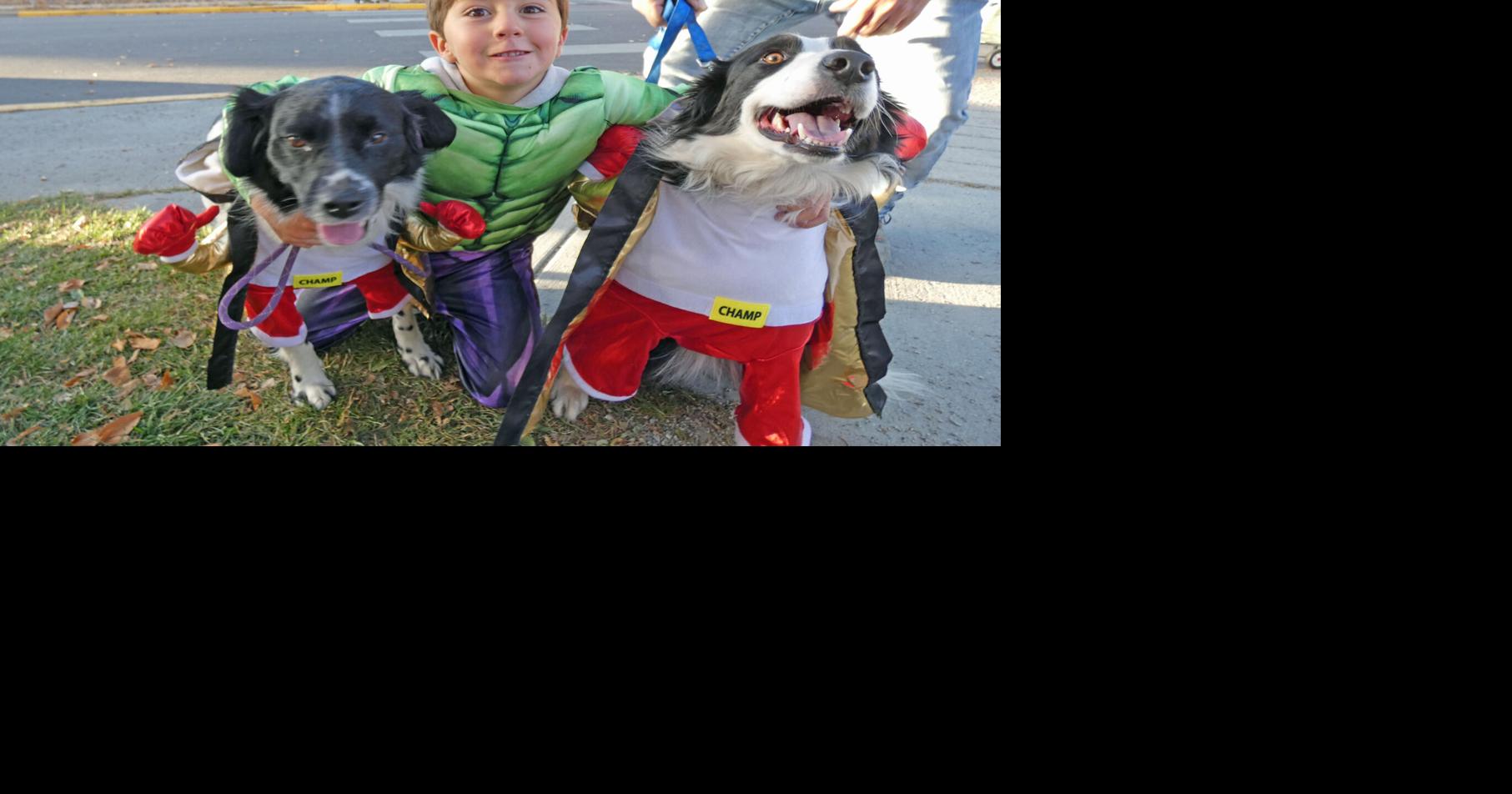 AVHS: Keep your pets safe at trick-or-treat time