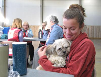 Emergency Animal Boarding Made Available Free Content Themountainmail Com