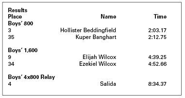 hollister promo code