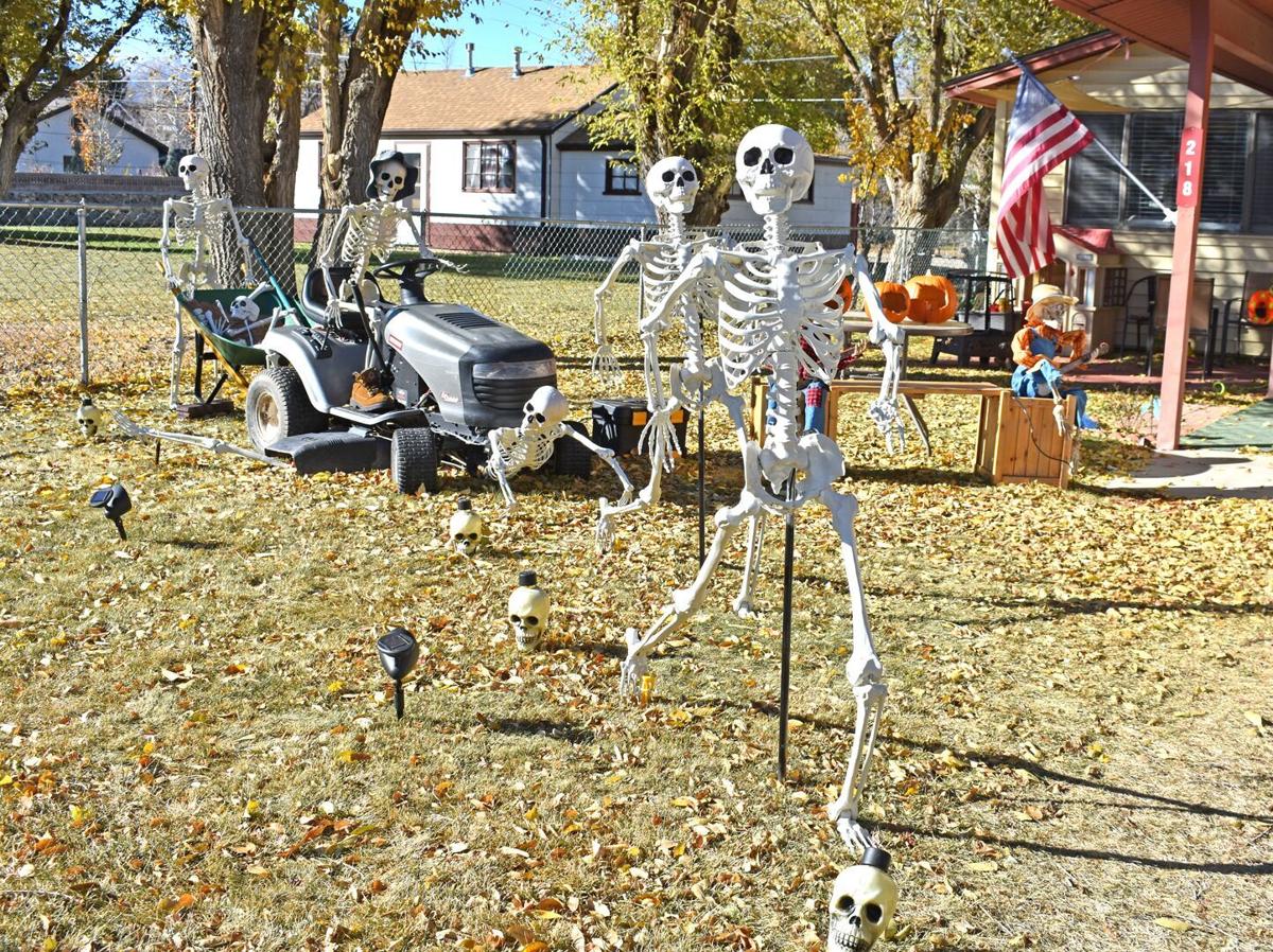 1028 skele-mower.tif