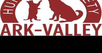 Lost dog | Columnist | themountainmail.com - Vimarsana News