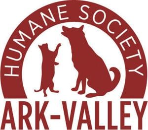 Over the Rainbow Bridge Columnist themountainmail com