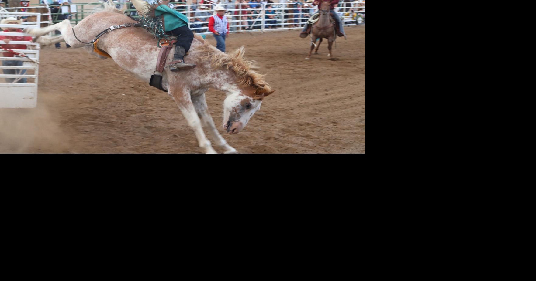 Chaffee Fair sees wholesome rodeo with bucking bulls, camaraderie