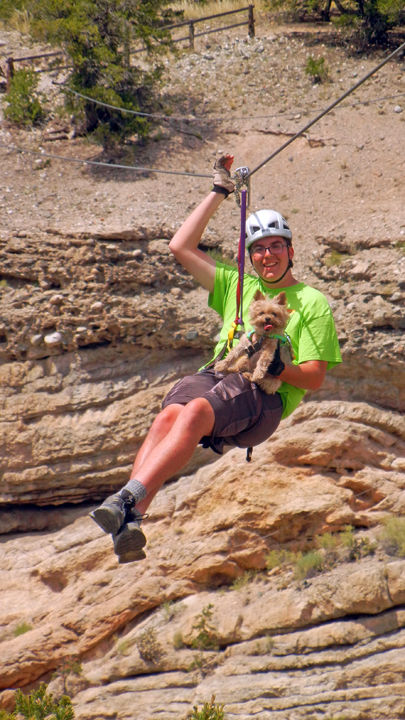 Zipping with a friend