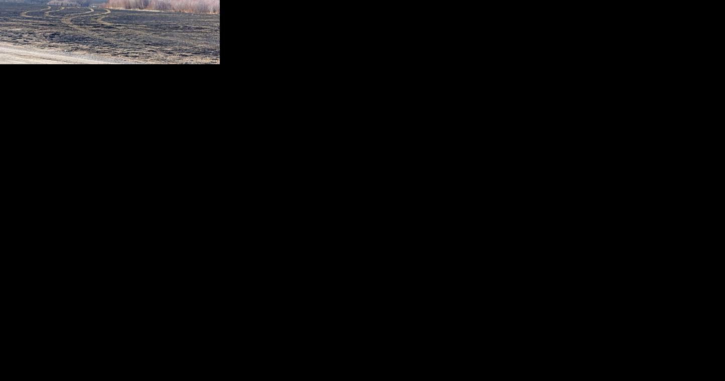 Winds kick up grass fire south of BV Wednesday - Vimarsana News