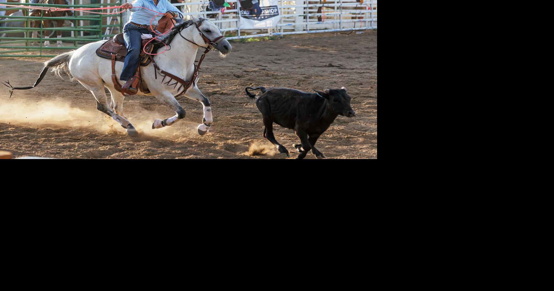 CPRA Rodeo kicks off Chaffee County Fair & Rodeo | Multimedia ...