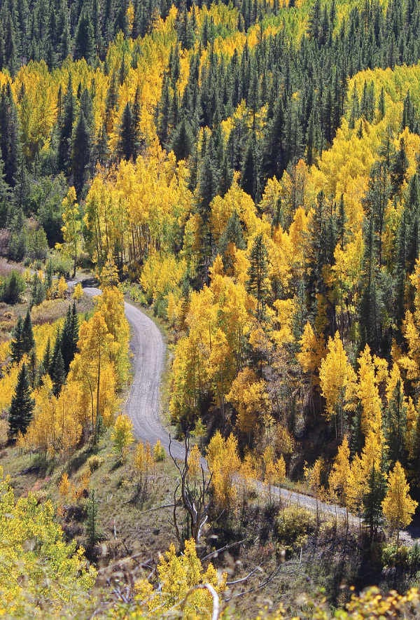 Colorful Marshall Pass Road dazzles | Outdoors | themountainmail.com
