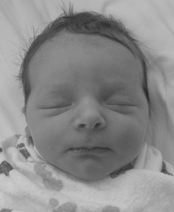 Lucy Leah Babbitt
