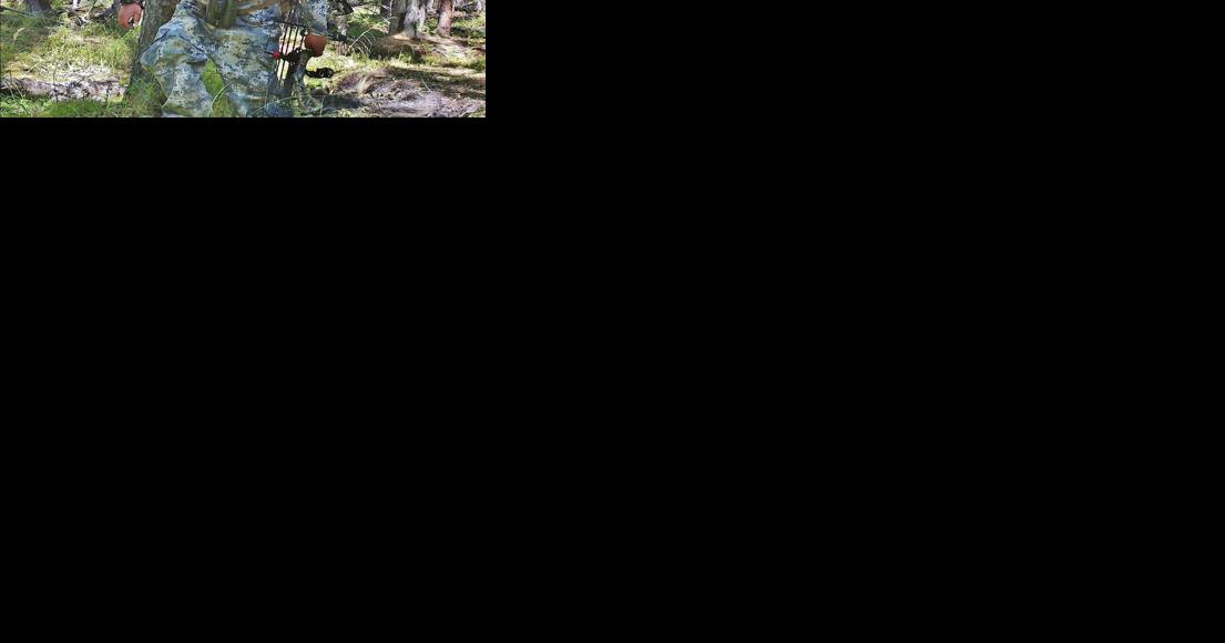 CPW seeks public's help in finding archer who poached moose in Teller County | Free Content - Vimarsana News