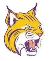 Lady Cats' streak ended by Wartburg