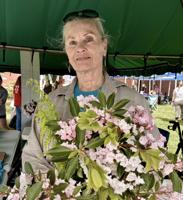Tennessee Mountain Laurel Festival brings community together