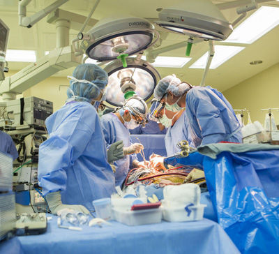 Vanderbilt Transplant Center reaches new record number of transplants performed - Vimarsana News