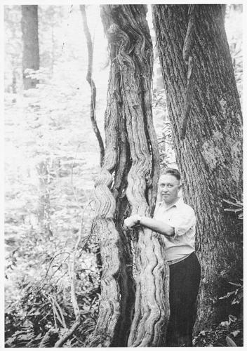 rufus-and-frances-mize-sevierville-business-leaders-opinion