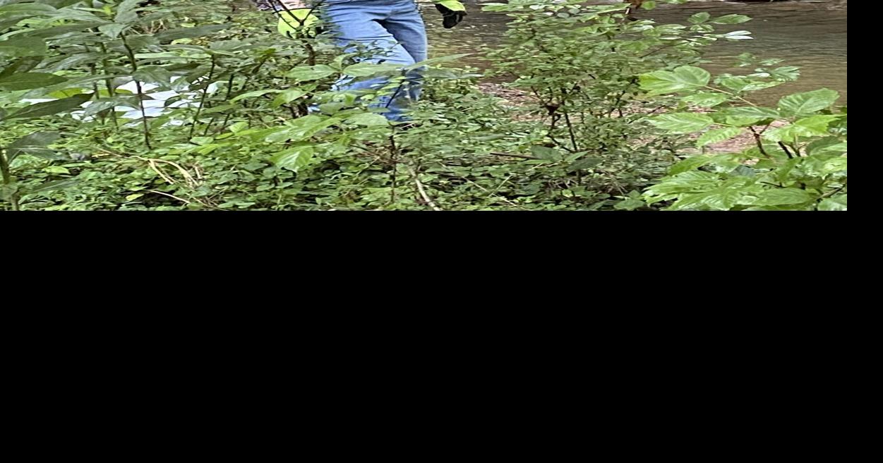 Tennessee Citizens for Wilderness Planning holding events in June