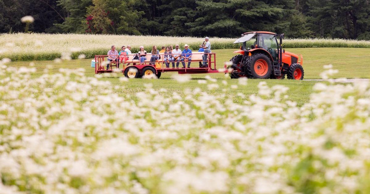 Field days for farmers and homeowners across Tennessee