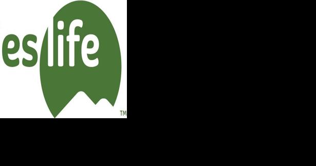 GSMA changes name to Smokies Life - Vimarsana News