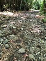 Big Creek Trail closures beginning May 9 for rehabilitation work