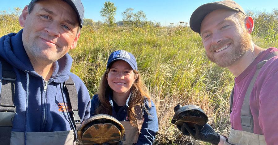 Stories from a Wildlife Veterinarian: From Oak Ridge to Peru and from Box Turtles to Penguins