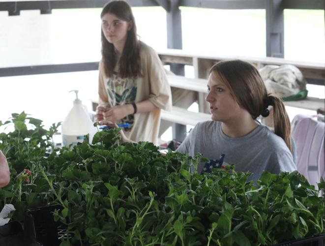 CCHS greenhouse opens to public Lafollette