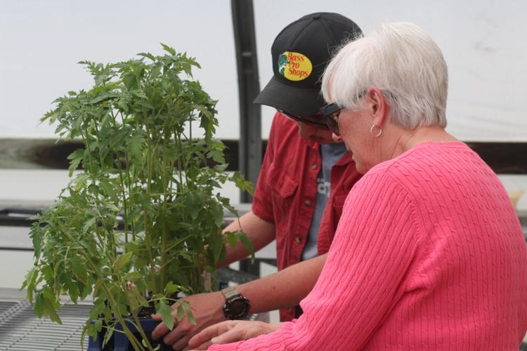 CCHS greenhouse opens to public Lafollette