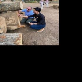 USDA funding will expand global markets for Tennessee hardwood industry