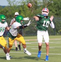 Campbell County thrives against Northview