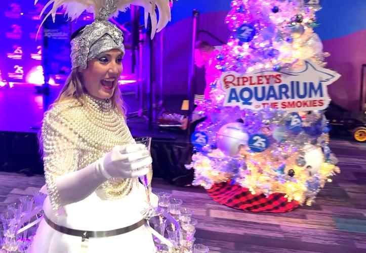Ripley's Aquarium of the Smokies celebrates 25 years in Gatlinburg | News