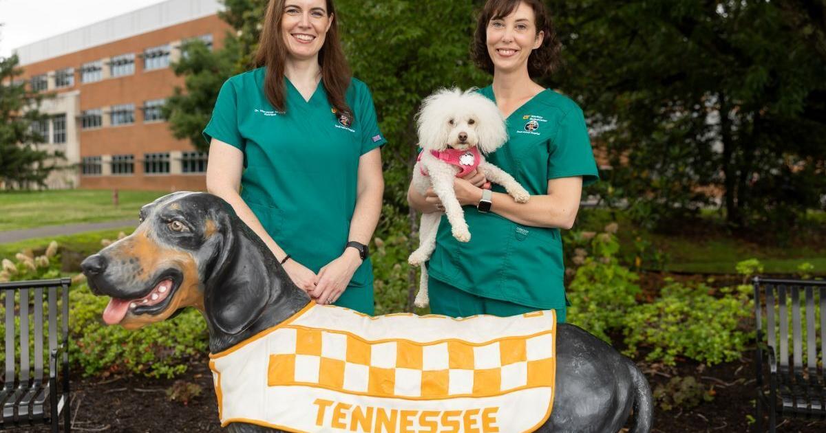 The Farmer’s Dog funds veterinary nutrition residency at the University of Tennessee