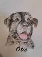 Pet portrait, monthly pecan pies offered in Rotary auction