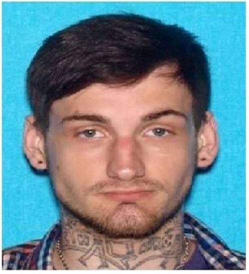 SCSO searching for missing person