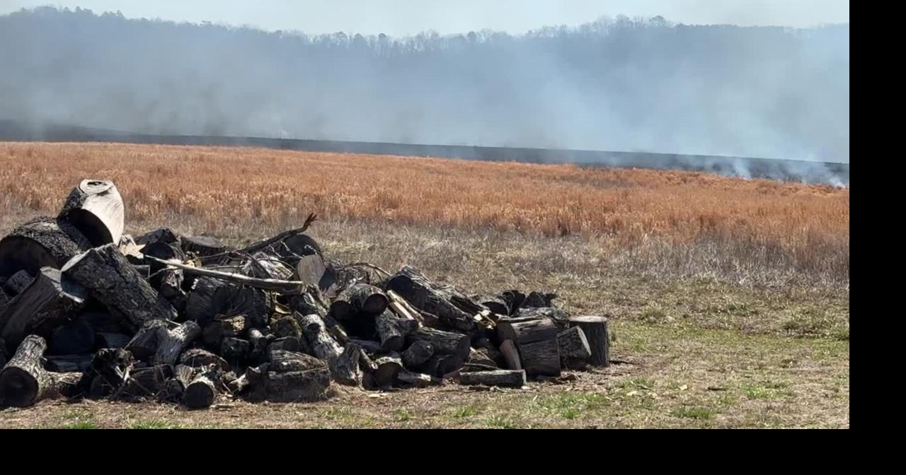 Red Bank Road brushfire | Local News | themountainpress.com