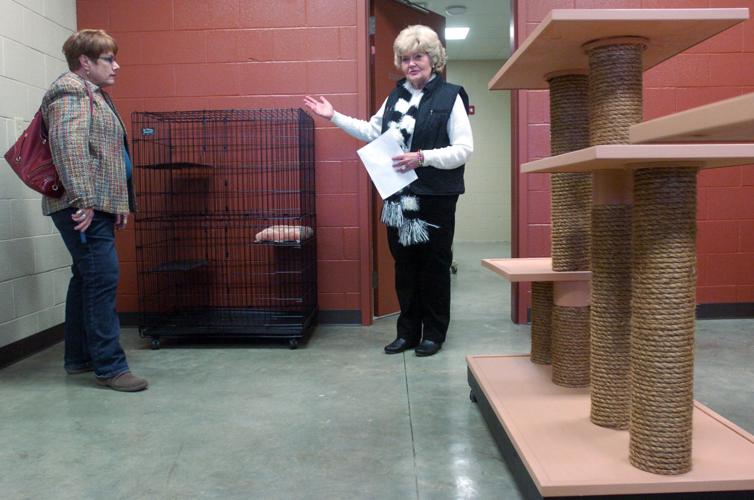 County animal shelter hosts open house Local News