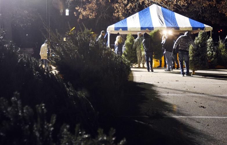 How to select, care for a live Christmas Tree Friday's Focus