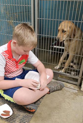 Tails wags as children delight in reading to shelter dogs | Local News ...