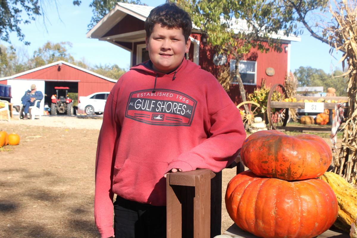 Teen Lends Pumpkin Expertise To Family Business Tuesday S Teen Thenewsenterprise Com