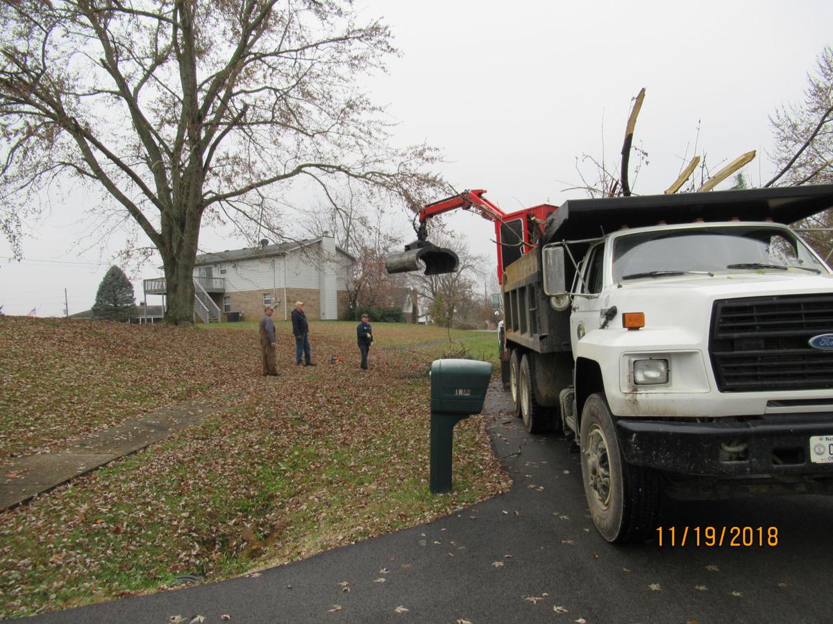 Crews face ongoing task of limb pickup from storm Local News