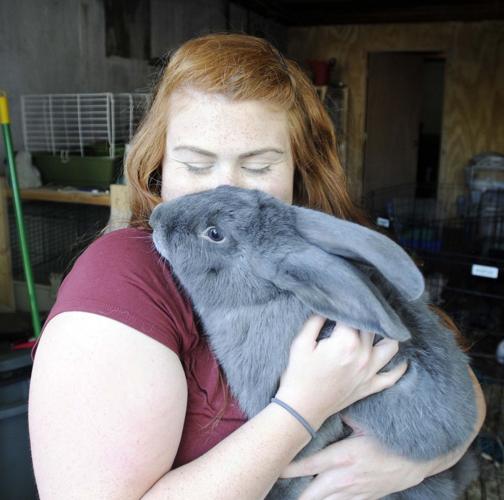 Moore has a rabbit habit for a good cause | Wednesday's Woman ...