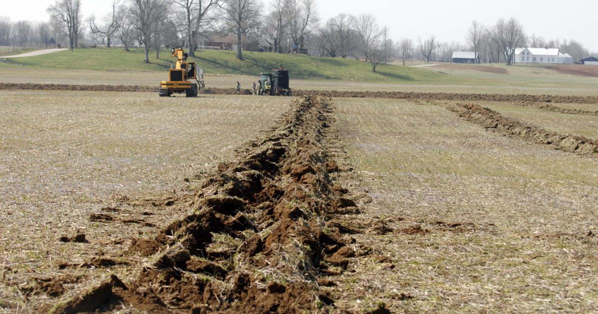 Sinking Spring Farm Today Faces and Places: Scenes of Spring (finally) | Local News ...