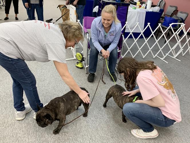 Pet Expo attracts large crowd of animal lovers | Local News ...