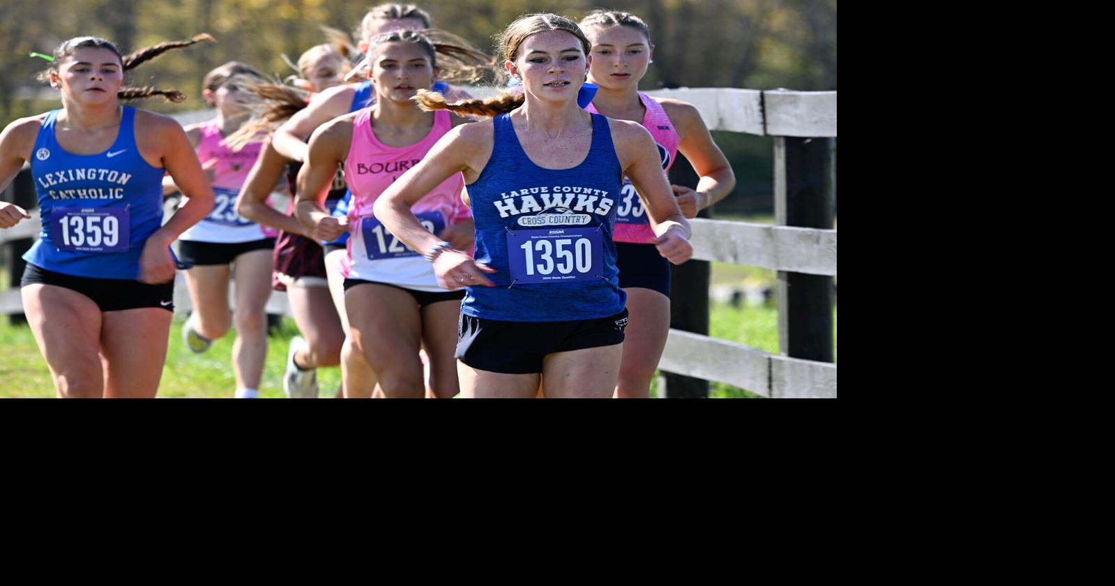 Hawks finish third, Day fifth in Class 2A cross country | High School ...
