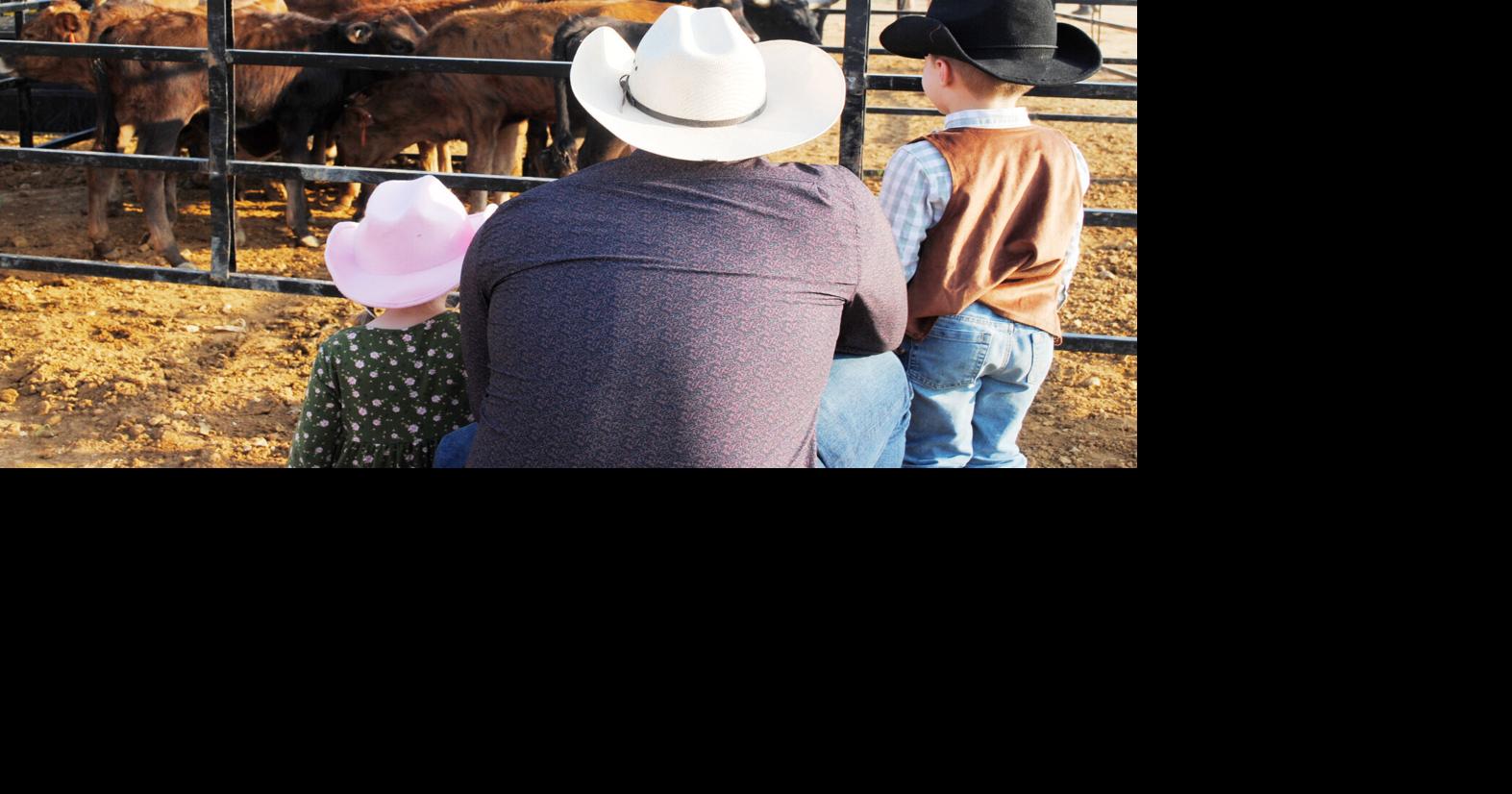 Annual rodeo brings family-style entertainment | Local News ...