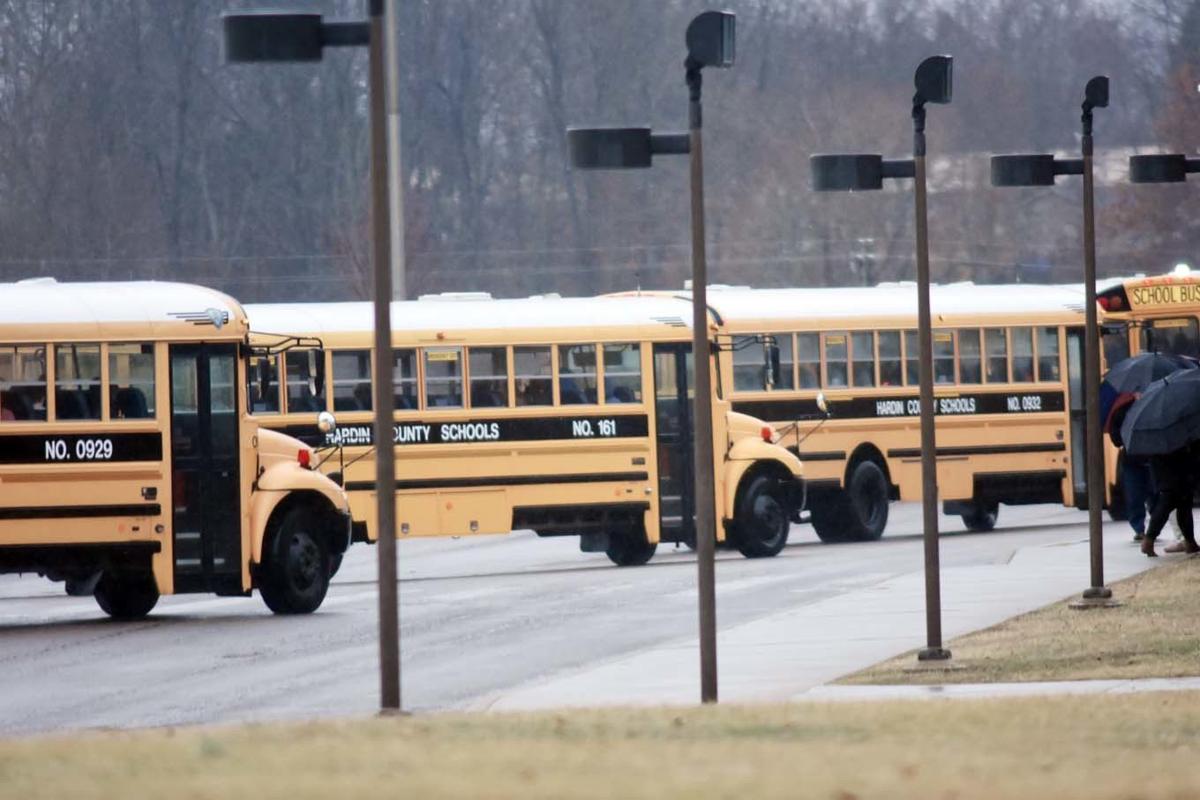 Bus drivers Cars passing buses a frequent issue Education